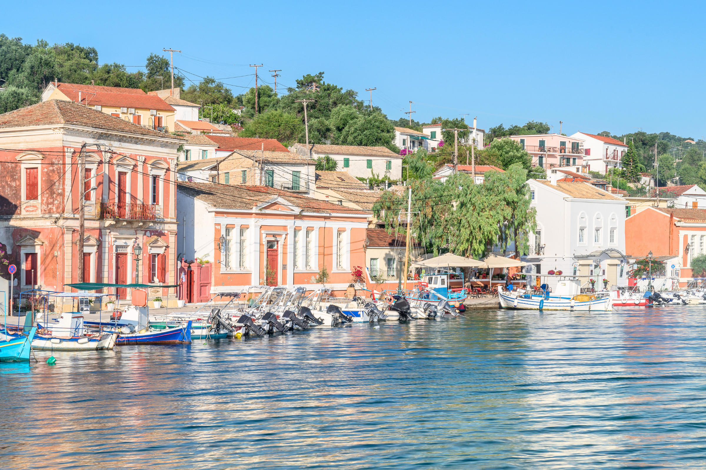 100 paxos.webp